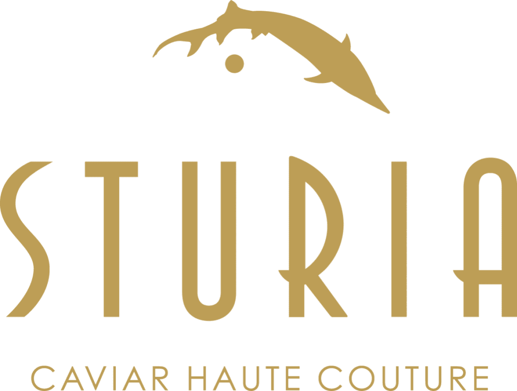 Logo Sturia - Conserverie - France -Caviar esturgeon poutargue rillettes - Nouvelle Vague l'Epicerie de la Pêche à Bordeaux