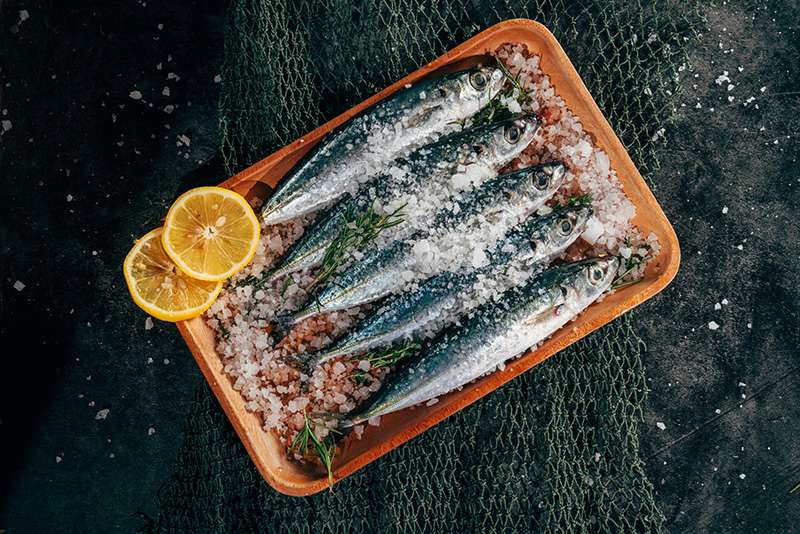 sardines bordeaux