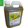 Dulfar bidon 2 litres - Huile d'olive Bio du Portugal - Nouvelle Vague l'épicerie fine de la pêche à Bordeaux depuis 2017