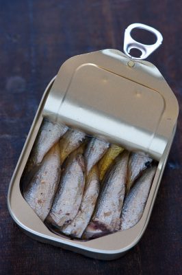 sardines en conserve