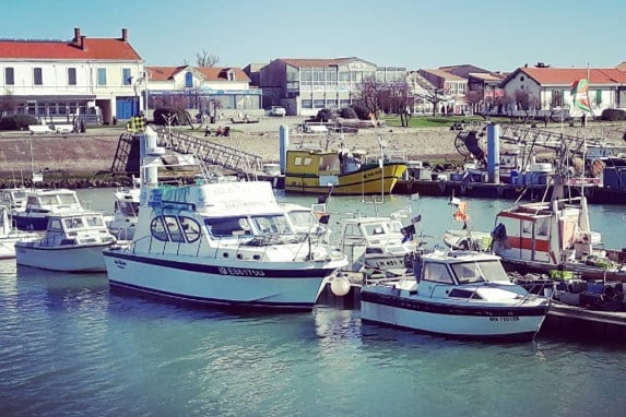 Port de la Cotinière - Conserverie de l'Ile d'Oléron - La Lumineuse - Nouvelle Vague l'épicerie fine de la pêche à Bordeaux