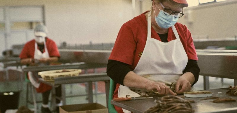 Travail de l'anchois dans la conserverie - Rezumar - Nouvelle Vague l'épicerie fine de la pêche à Bordeaux depuis 2017