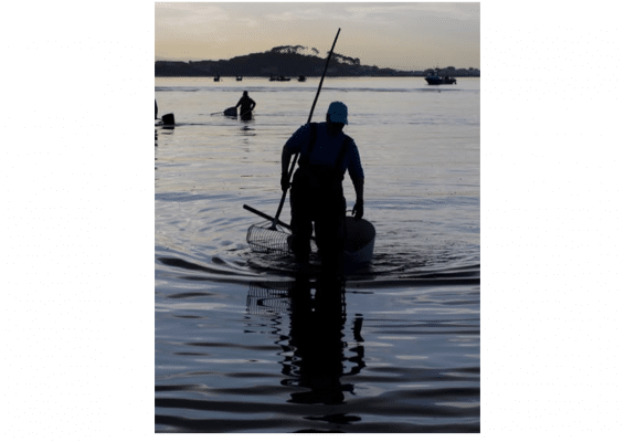 Paysage-Mariscadora-Nouvelle-Vague-epicerie-de-la-peche-a-Bordeaux-2017