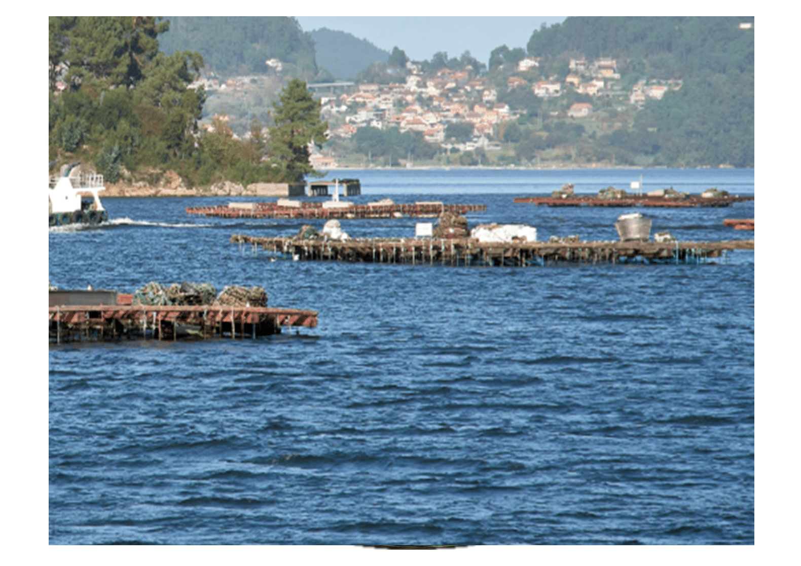 Paysage de Galice - Mariscadora - Nouvelle Vague l'épicerie de la pêche à Bordeaux depuis 2017