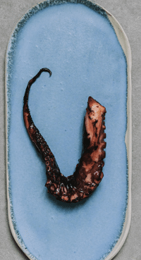 Poulpe-fumette-Nouvelle-Vague-lepicerie-fine-de-la-mer- bordeaux- depuis-2017