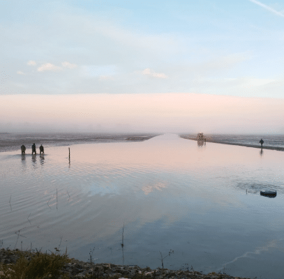 Paysage- Poisson des dombes - Epicerie Nouvelle Vague de le mer à Bordeaux depuis 2017