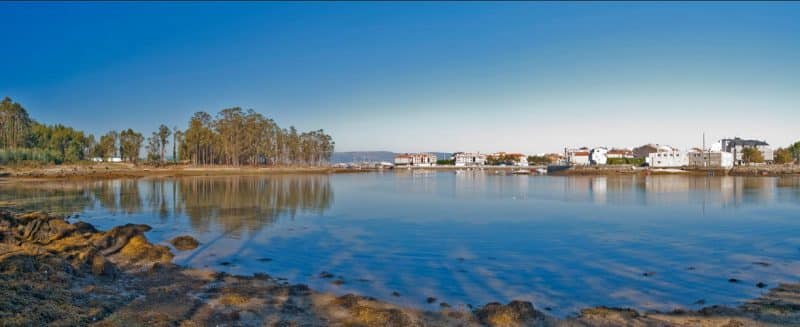 Paysage- Rosa Lafuente - Nouvelle Vague L Epicerie de la pêche à Bordeaux depuis 2017