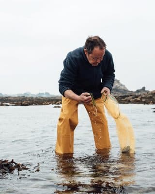 Récolte des algues à Roscoff - Algo plus - Nouvelle Vague l'épicerie fine de la pêche à Bordeaux depuis 2017